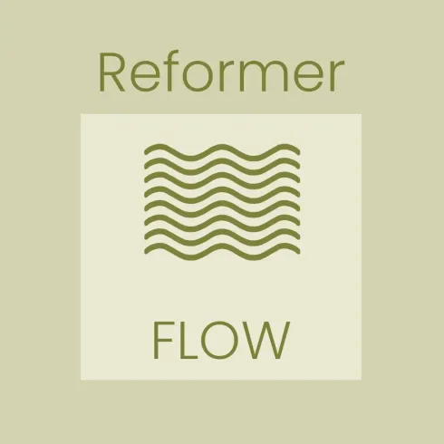Group Reformer (FLOW 1)